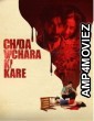 Chida Vichara Ki Kare (2023) Punjabi Movie