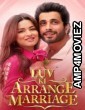 Luv Ki Arrange Marriage (2024) Hindi Movie