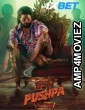 Pushpa 2 The Rule Reloaded (2024) Telugu Movie